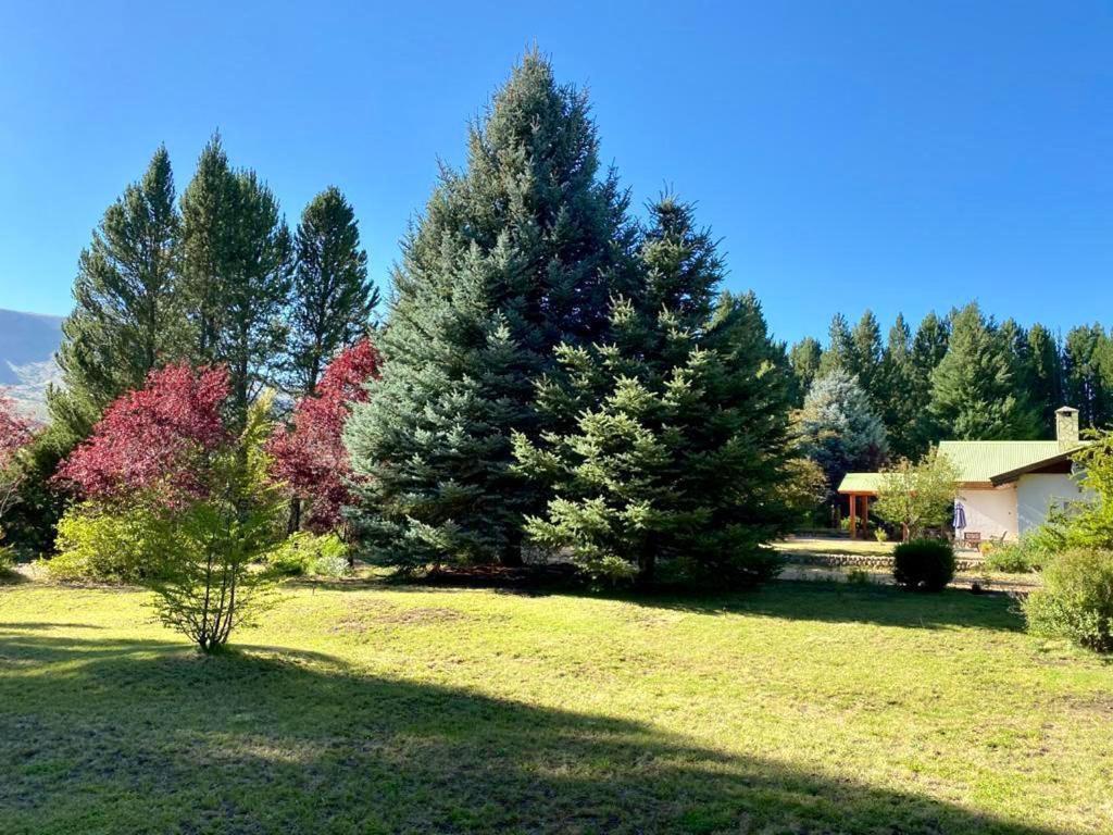 Estancia Quillen Lodge - Hosteria Aluminé エクステリア 写真